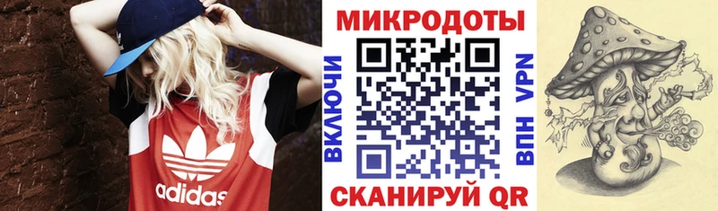 Купить закладки  Егорьевск  Псилоцибиновые грибы ЛСД 