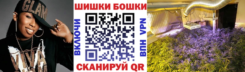 МАРИХУАНА сатива  Купить закладки  Егорьевск 